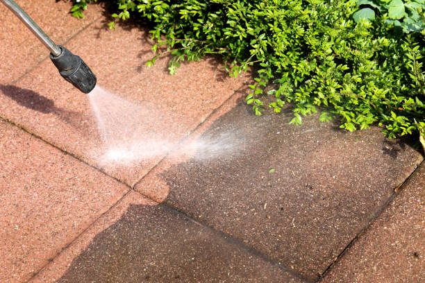 Best House Pressure Washing  in North Tustin, CA